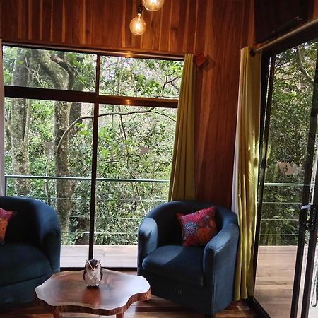 Jungle Living Tree Houses モンテベルデ エクステリア 写真