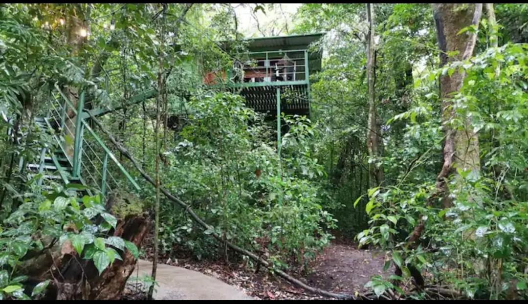 Jungle Living Tree Houses モンテベルデ エクステリア 写真