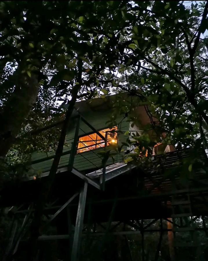 Jungle Living Tree Houses モンテベルデ エクステリア 写真