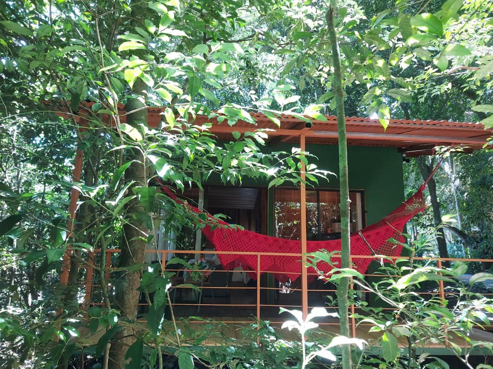 Jungle Living Tree Houses モンテベルデ エクステリア 写真