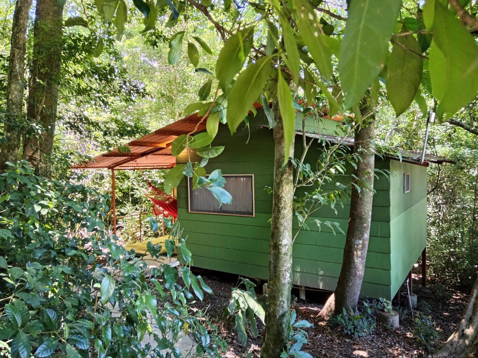 Jungle Living Tree Houses モンテベルデ エクステリア 写真