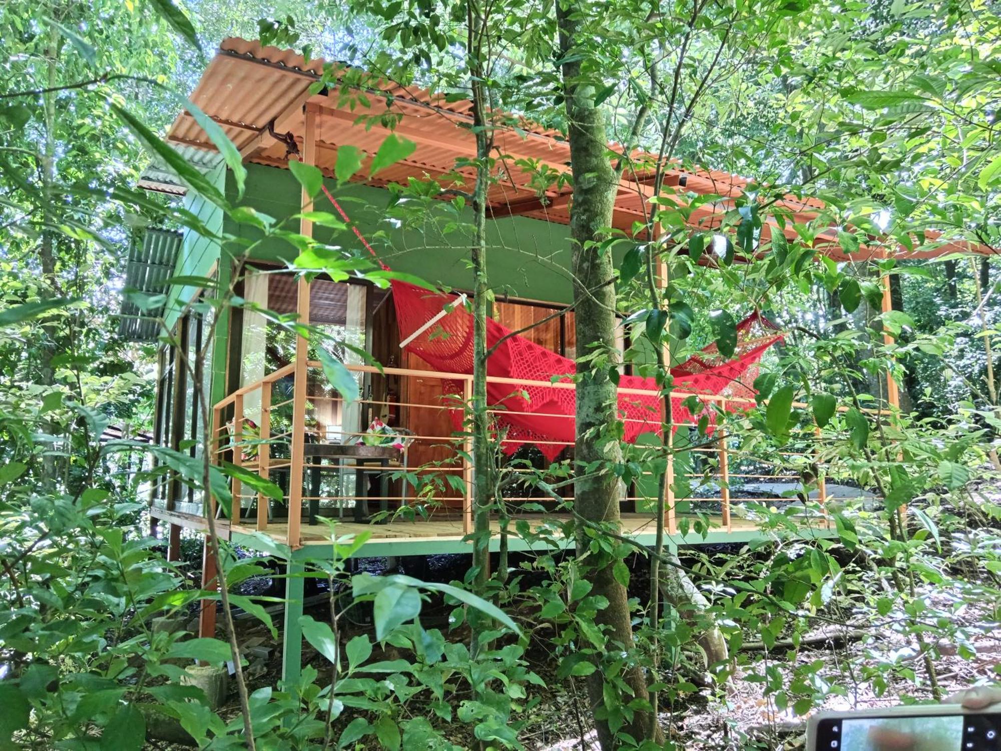 Jungle Living Tree Houses モンテベルデ エクステリア 写真