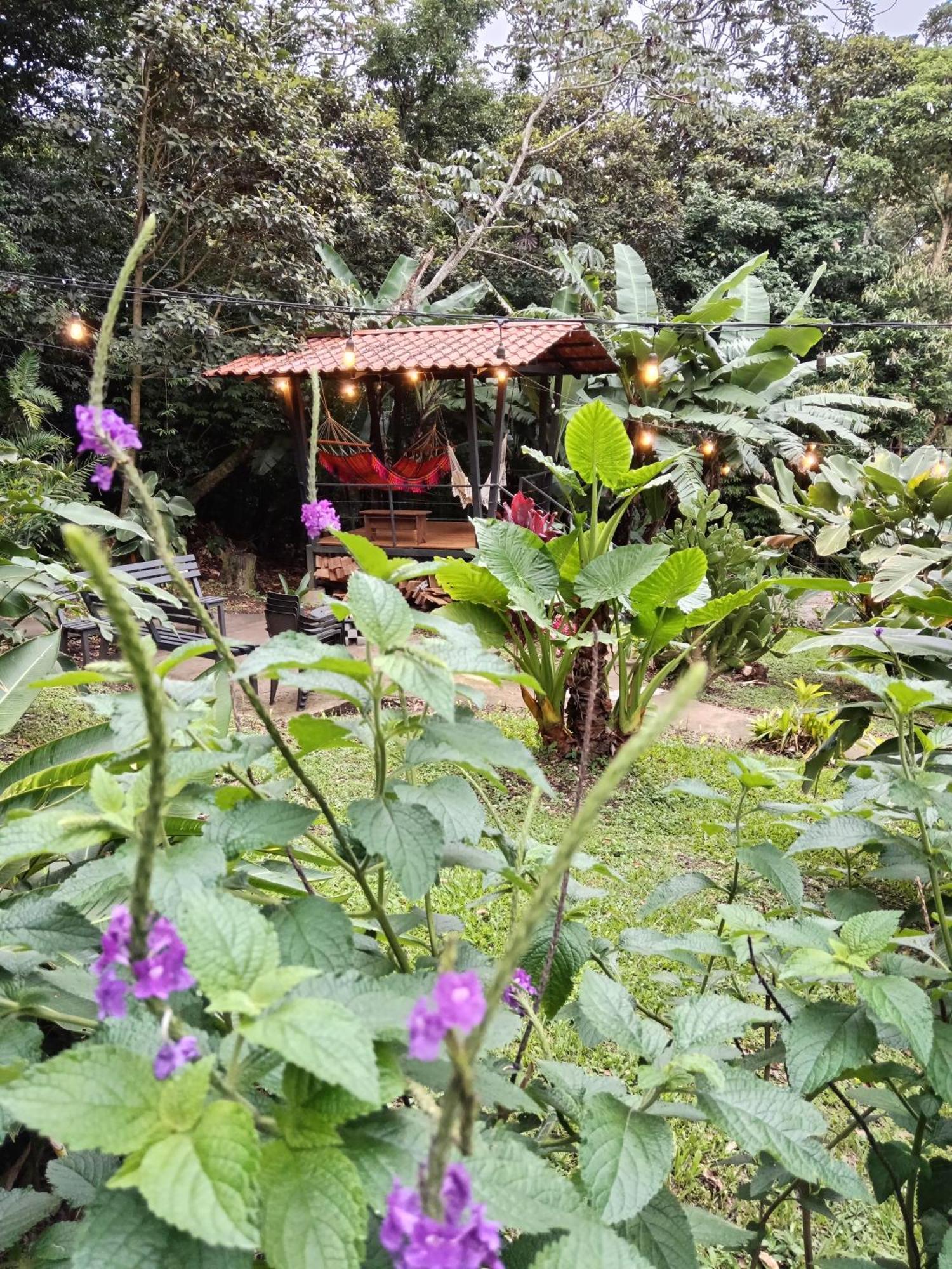 Jungle Living Tree Houses モンテベルデ エクステリア 写真