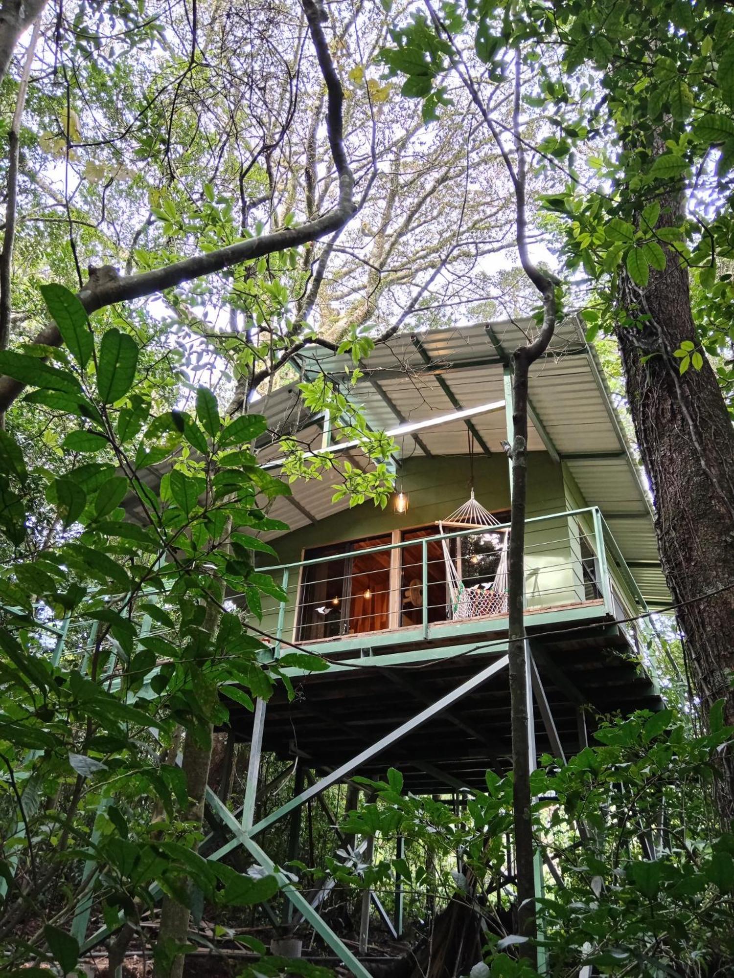 Jungle Living Tree Houses モンテベルデ エクステリア 写真