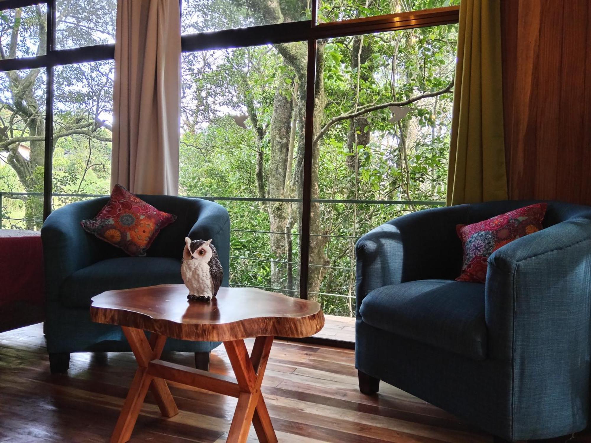 Jungle Living Tree Houses モンテベルデ エクステリア 写真