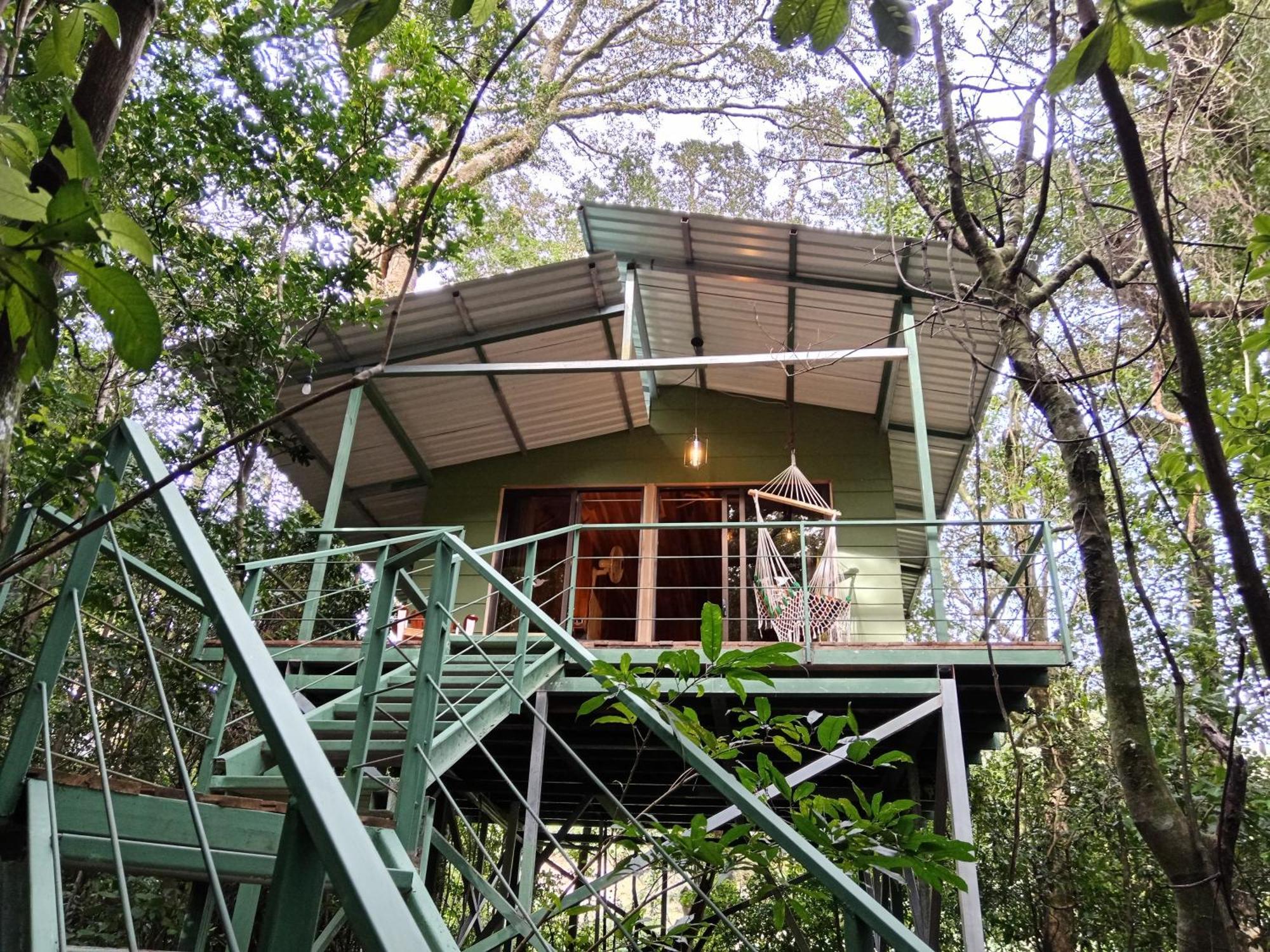 Jungle Living Tree Houses モンテベルデ エクステリア 写真