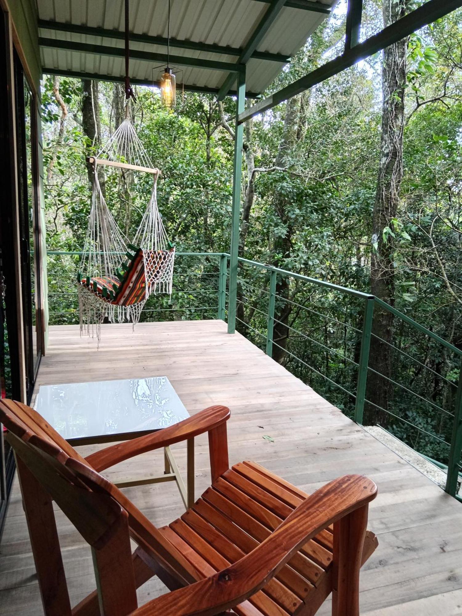 Jungle Living Tree Houses モンテベルデ エクステリア 写真