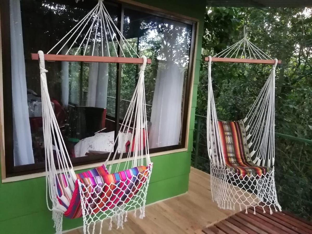 Jungle Living Tree Houses モンテベルデ エクステリア 写真