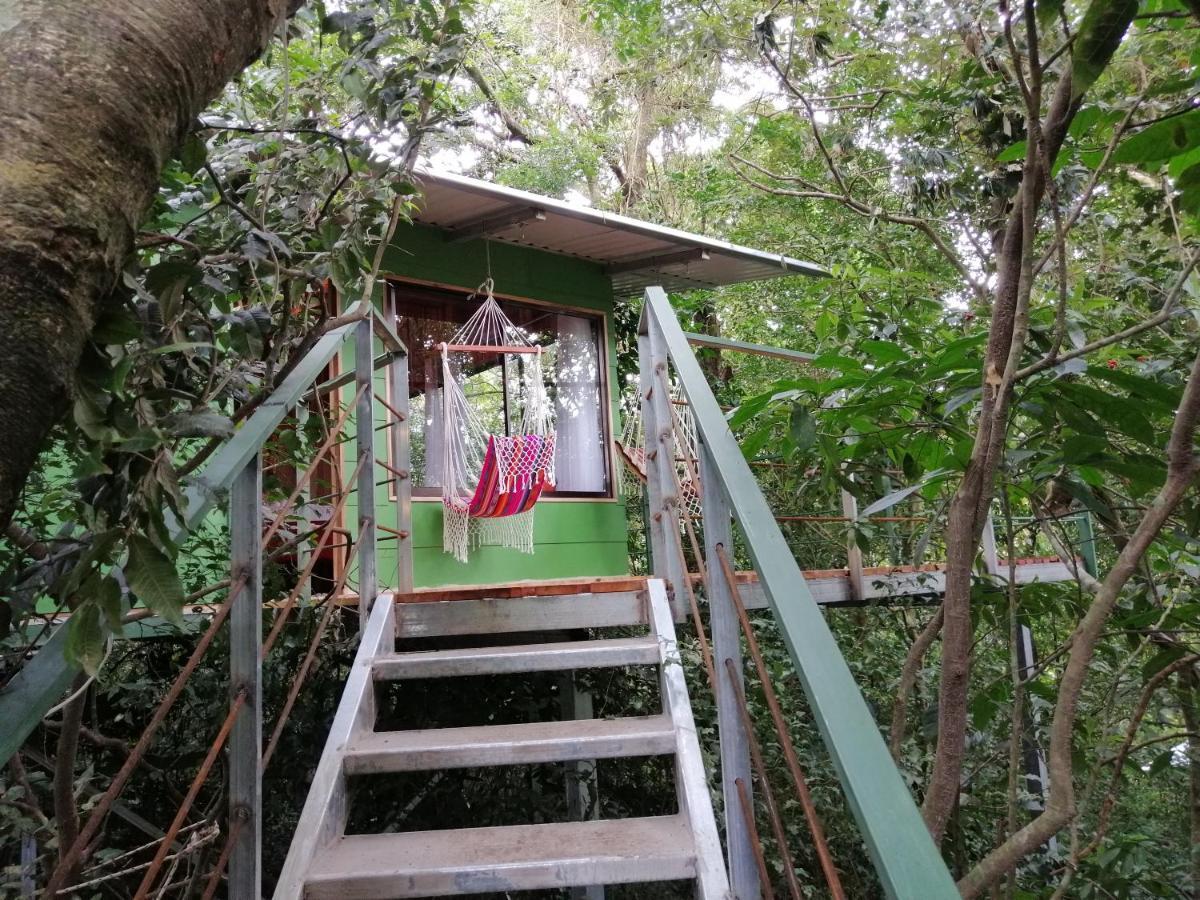 Jungle Living Tree Houses モンテベルデ エクステリア 写真